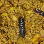 Mochar Ghonto